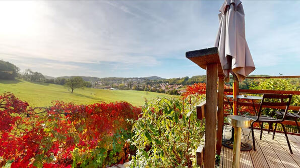 La vue depuis la Tiny House